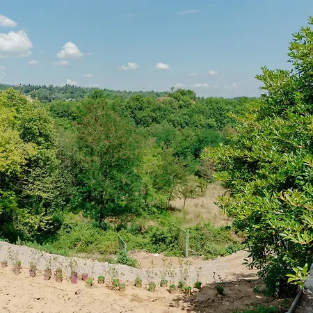 Tenuta Alela *