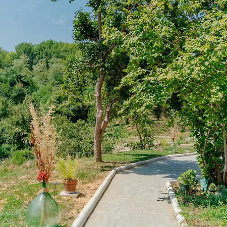 Tenuta Alela Farma *