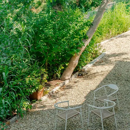 Tenuta Alela * Figline Valdarno