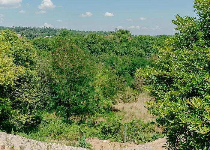 Tenuta Alela *
